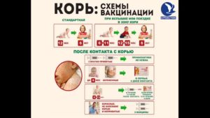 Контакт после прививки кори