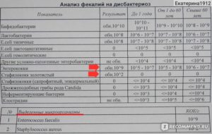 Кал на дисбактериоз - 2 степень микробиологических нарушений