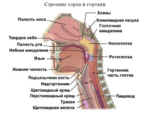 Комок в горле сбоку