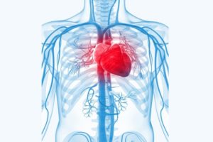 Как растворить тромб в сердце