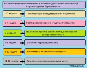 Болит низ живота в начале беременности