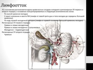 Лимфоузлы в жёлчном пузыре