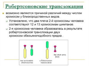 Кариотип робертсоновская транслокация