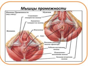 Болит кожа промежности