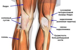 Болит колено после согнутого положения