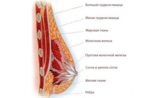 Болит сосок правый