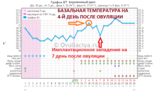 Когда наступает овуляция после задержки?