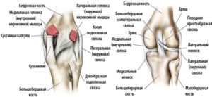 Боль со внутренней стороны колена