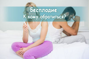 К кому нужно обратиться