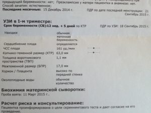 Первый скрининг 13 недель расшифровка