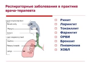 Ларингит или бронхит?