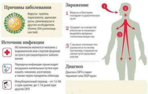 Лимфоузлы, орз и соэ 21 у ребенка 3 года