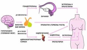 Болит грудь, высокий пролактин, гормоны