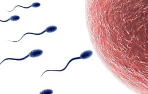 Планирование беременности, патология спермы