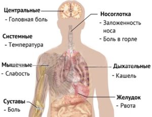 Кашель, озноб, температура, головная боль, тошнота, головокружение