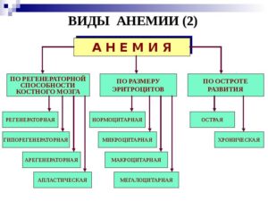 Какая анемия?