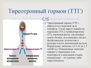 Коррекция ТТГ