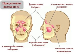 Кистовидное образование решетчатого лабиринта