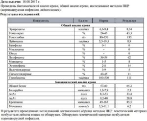 Лейкоз 1 степени по анализу крови
