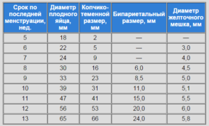 Большой размер плодного яйца