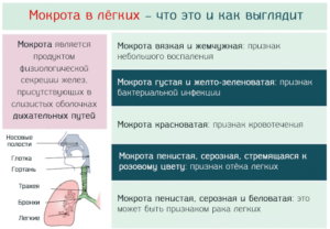 Какие анализы сдать при слизи в горле?