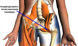 Болит бедро где начинается нога