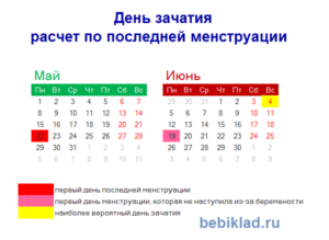 Лучшее время для зачатия