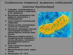 Klebsiella pneumoniae 10в5, можно ли беременеть?