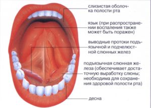 Боли в зубах, языке и под языком