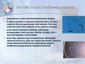 Klebsiella pneumoniae 10в5, можно ли беременеть?