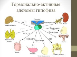 Как похудеть при аденоме гипофиза?