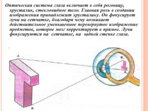 Искусственные хрусталики разной оптической силы