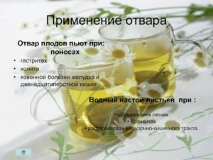 Какие успокоительные можно пить при язве желудка 12 кишки