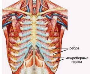 Боль в ребрах посередине