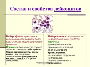 Лейкоциты, нейтрофилы снижены