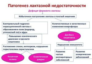 Лактазная недостаточность или дисбактериоз?