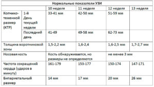 Первый скрининг 13 недель расшифровка