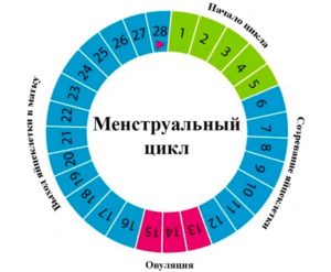 Как определить первый день месячных