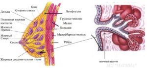 Комок в области правого соска.