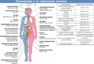 Кальцитонин онкомаркер