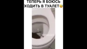 Боязнь ходить в туалет