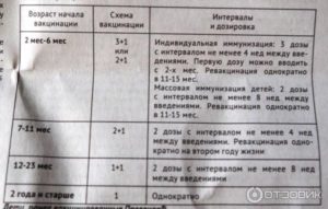 Интервал между прививками Превенар