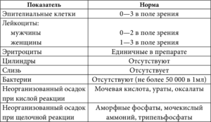 Лейкоциты сплошь на всю камеру, но у ребенка хорошее самочувствие