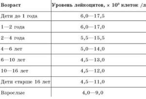 Лейкоциты в анализах новорожденного