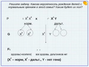 Какая вероятность рождения?