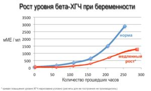 Медленный рост ХГЧ на ранних сроках беременности