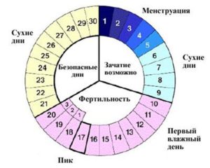 Как определить первый день месячных