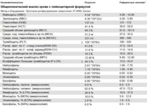 Лейкоциты, нейтрофилы снижены