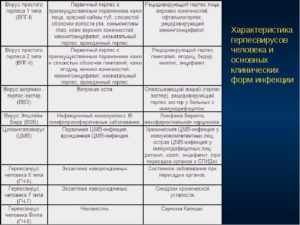 Иммунограмма и герпес- инфекции