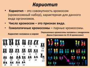 Кариотип и планирование